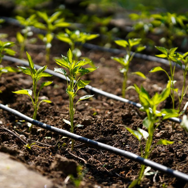 Sustainable irrigation
