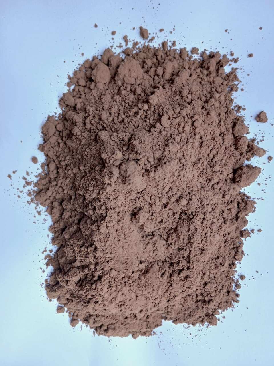 Cacao showcase image 2