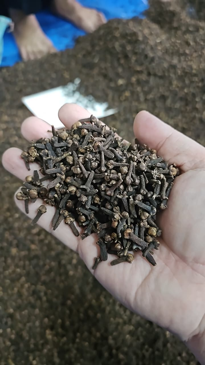 Clove narrative image