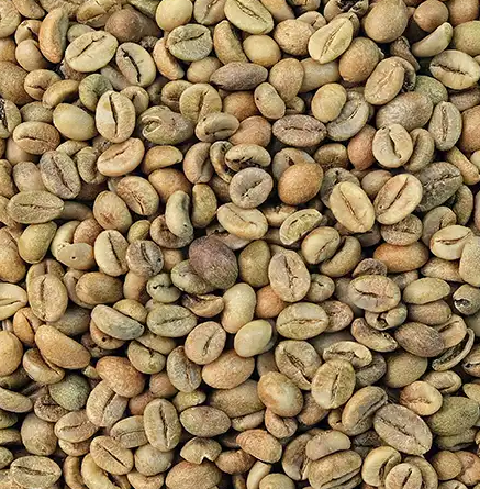 Coffee Bali