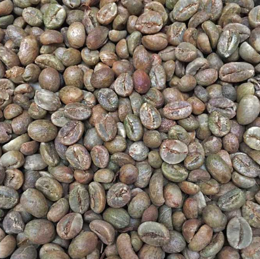 Coffee Robusta Blue Java